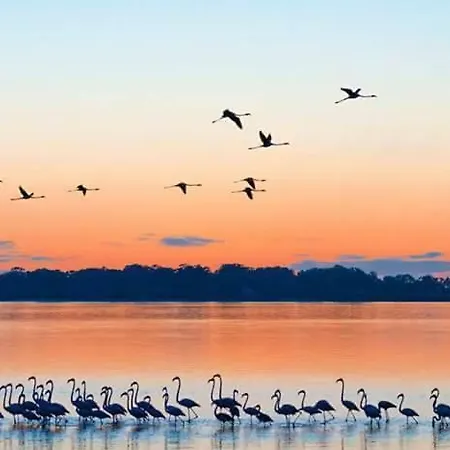 Hc Appartement Torreira