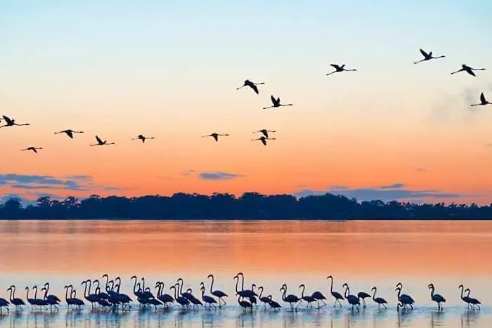 Hc Torreira Beach Apartment Torreira